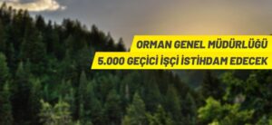 ORMAN GENEL MÜDÜRLÜĞÜ 5.000 GEÇİCİ İŞÇİ ALACAK