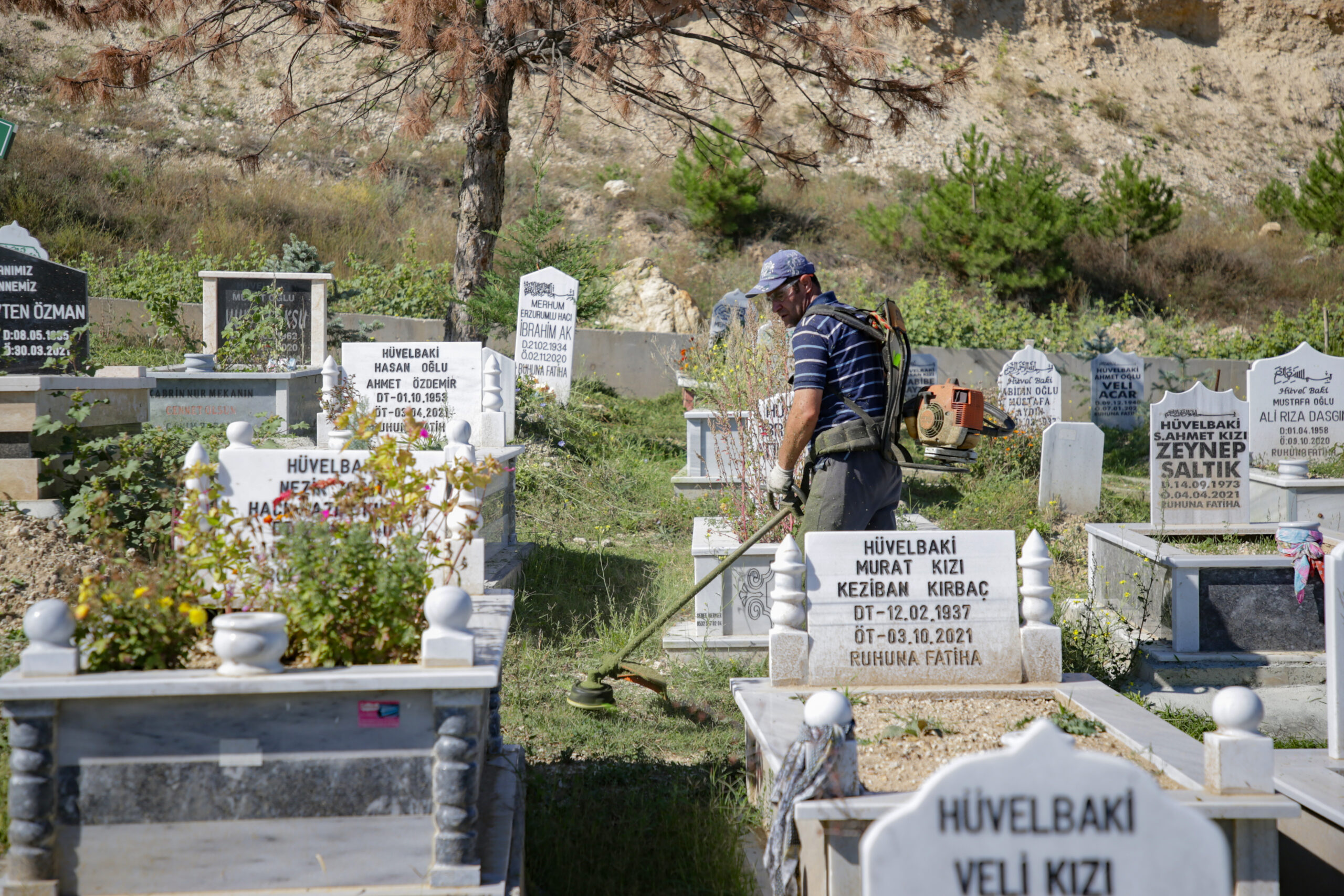 Belediye Başkanı Prof. Dr.