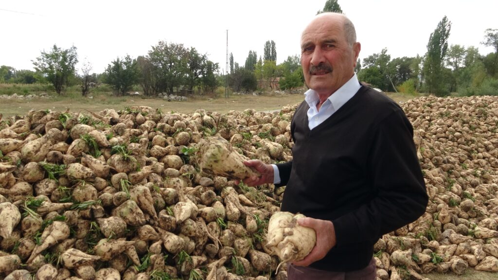 Kütahya’da çiftçilerin şeker pancarı