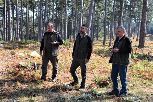 Kütahya Orman Bölge Müdürü