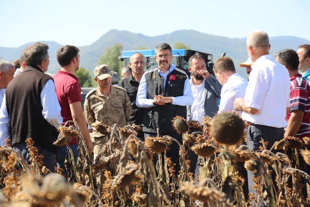 Vali Ali Çelik, Simav