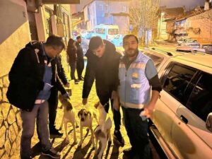 98 KÖPEĞE ÇİP TAKILDI, 100 KÖPEĞE KUDUZ AŞISI YAPILDI