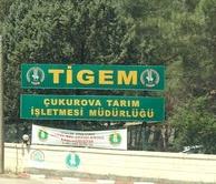 ÇUKUROVA’DA TİGEM’DEN KİRALIK TARIM ARAZİLERİ