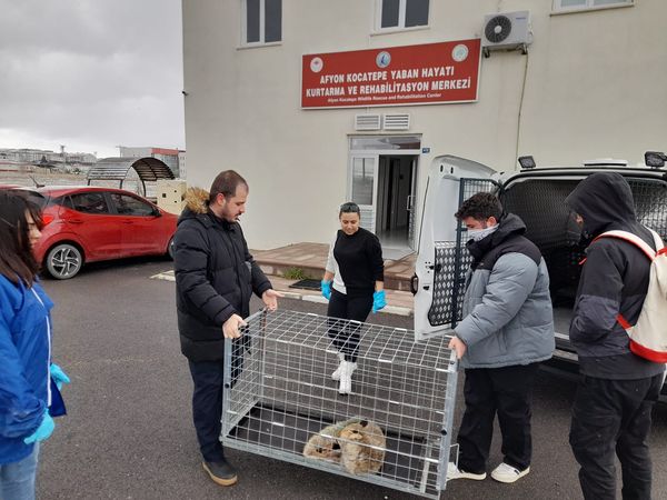 Kütahya’da bacağı kırık halde