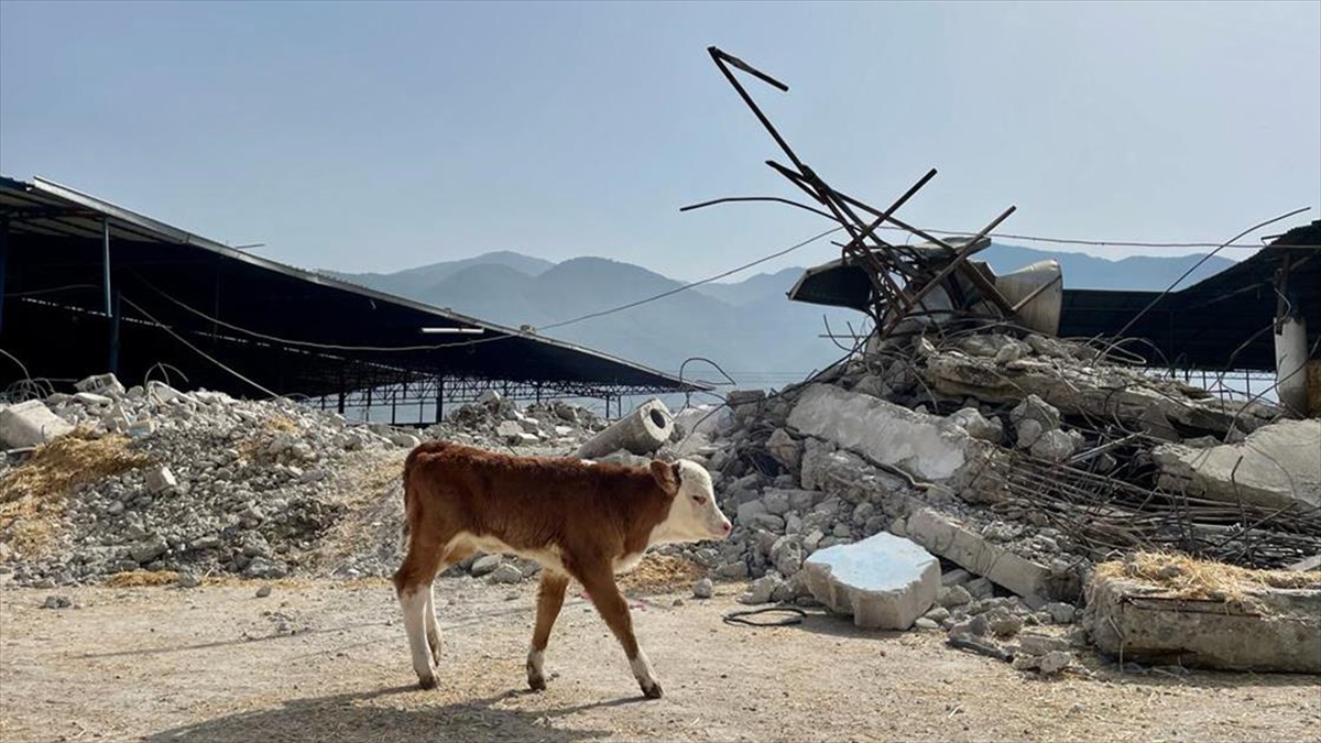 Tarım ve Orman Bakanı