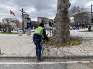 Kütahya’da ağaçlara bakım sürüyor