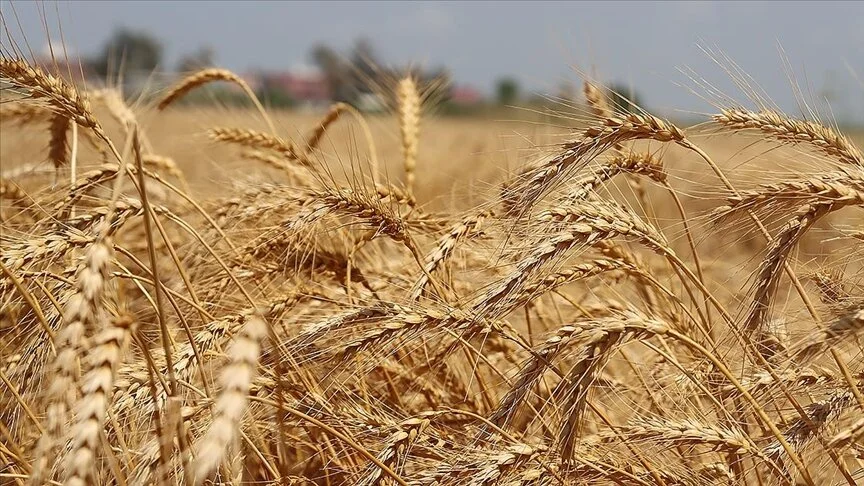 UHK Yönetim Kurulu Başkanı