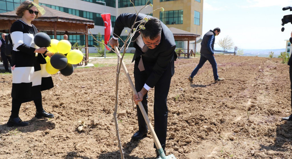 Kütahya Dumlupınar Üniversitesi Evliya