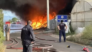 Antalya’da geri dönüşüm deposunda çıkan yangın seralara sıçradı