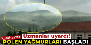 Polen Yağmurları Başladı, Uzmanlar alerjisi olanları uyardı…