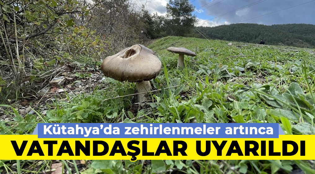 Kütahya’da son günlerde mantardan