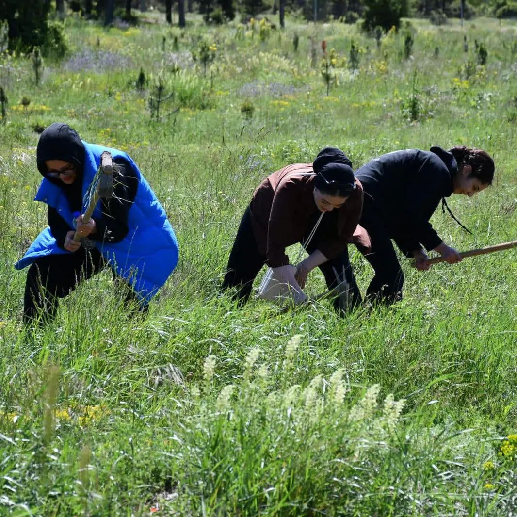 Emet'te öğrencilerden farkındalık etkinliği