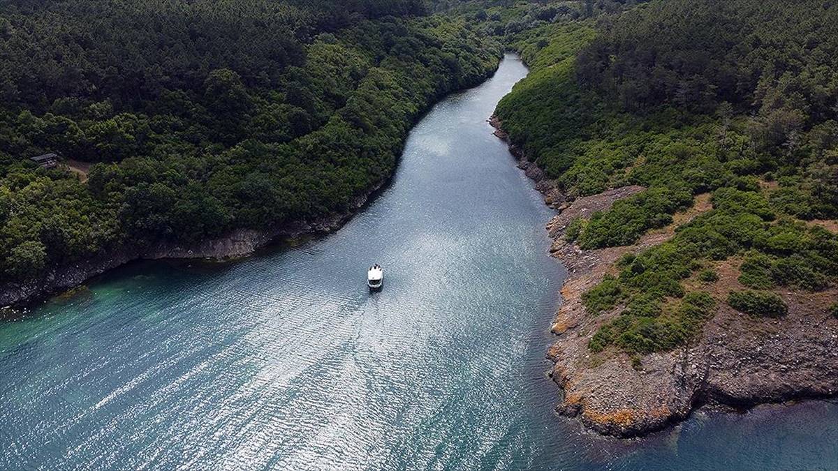 Bünyesinde denizle ormanı bileştiren