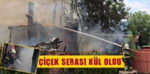 Kütahya’da çiçek serası yangında kül oldu