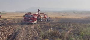 Dazkırı’da buğday tarlasında çıkan yangın söndürüldü