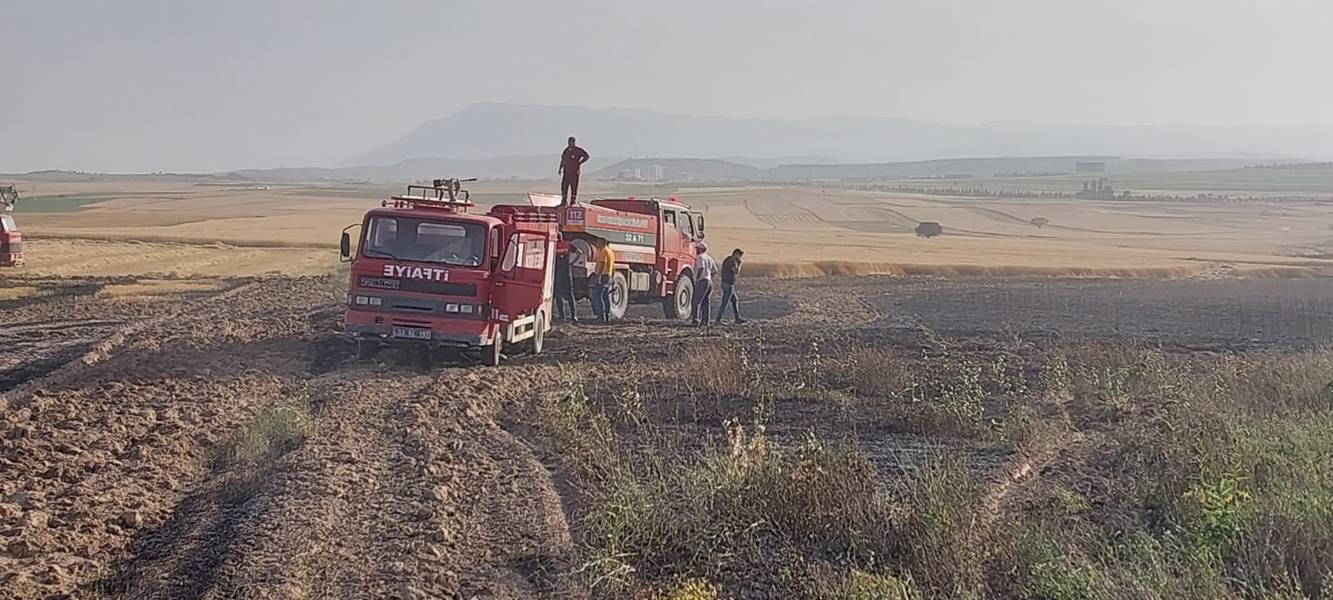 Afyonkarahisar’ın Dazkırı ilçesinde buğday