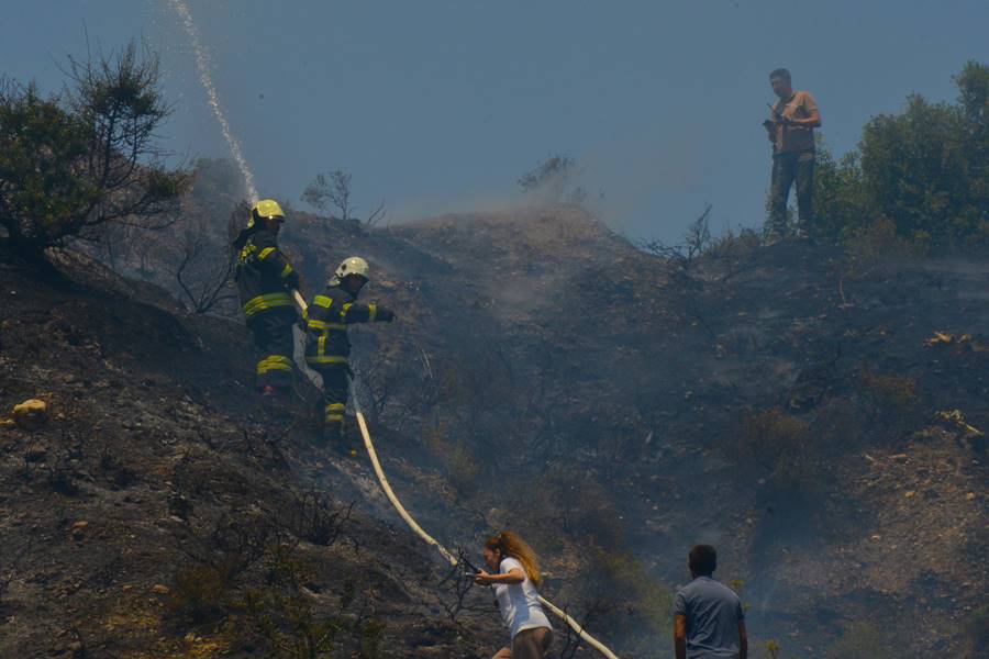 Manisa’nın Turgutlu ilçesinde ormanlık