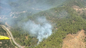 Muğla’da orman yangını çıktı