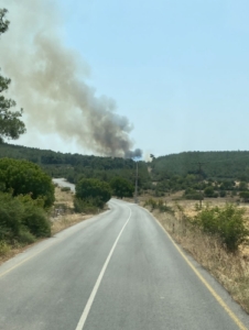 İzmir’de ormanlarda çıkan yangınlarla mücadele