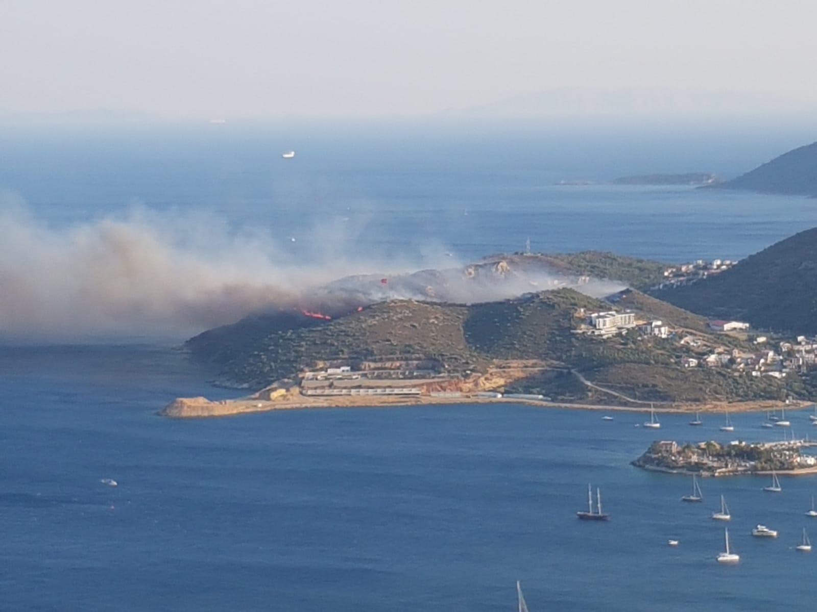 Muğla’nın Datça ilçesinde makilik