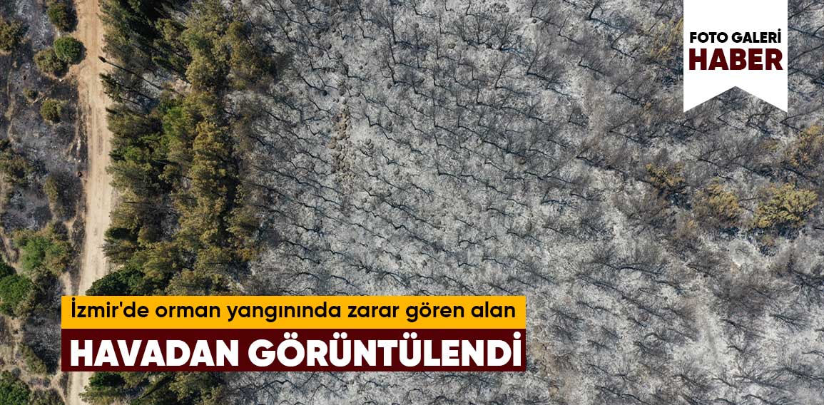 İzmir’de orman yangınında zarar gören alan havadan görüntülendi