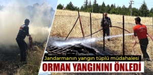 Kütahya’da jandarmanın hızlı müdahalesi orman yangınını önledi