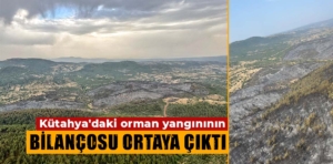 Kütahya’daki orman yangınında yanan alan miktarı belli oldu