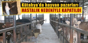 Kütahya’da şap hastalığı nedeniyle hayvan pazarları kapatıldı