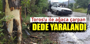 Kütahya’da Toros’u ile virajı alamayan yaşlı adam ağaca çarptı