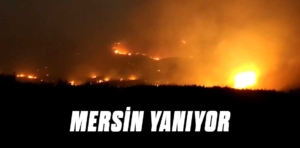 Mersin Gülnar’da orman yangını