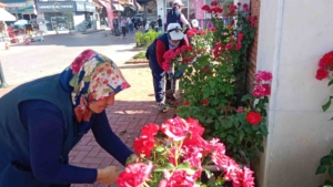 Tavşanlı Cumhuriyet Meydanı mevsim çiçekleriyle süslenecek