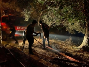 Muğla’da ormanlık alanda çıkan yangın söndürüldü