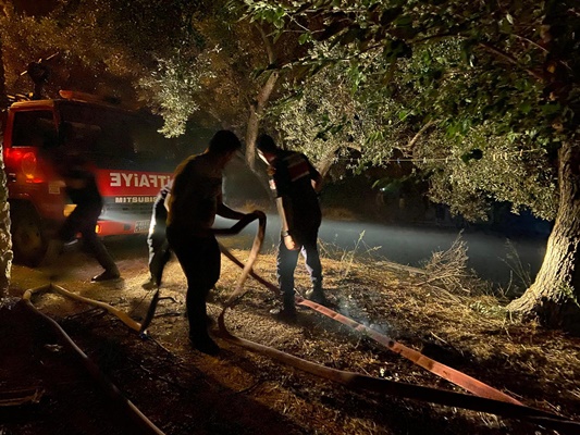 Muğla’nın Dalaman ilçesinde, ormanlık