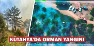 Kütahya’da orman yangınına anında müdahale edildi 