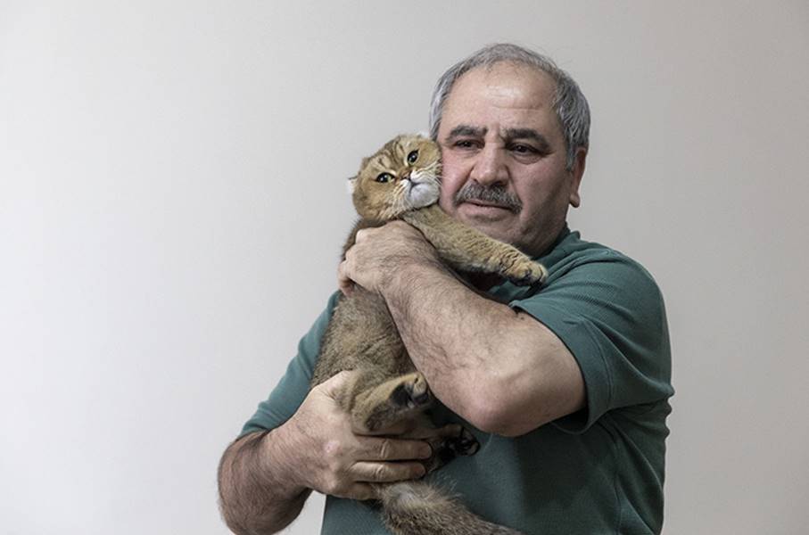 Erzurum'da, gençlik yıllarında yetiştirdiği güvercinlerini yediği için kedilere antipati duyan emekli komiser Tahsin Tepe, çocuklarının sahiplendiği "Müezza" adlı kedisinin salıncakta sallanması için her gün defalarca parka gidiyor.