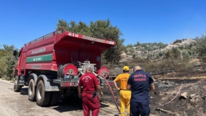 Muğla’da zeytinlik ve makilik alanda çıkan yangın söndürüldü