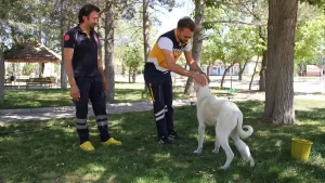 Ayağı yaralı köpek Mahoni ‘ye 112 sahip çıktı