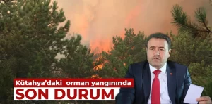 Kütahya’da orman yangını ile ilgili ilk açıklama Vali Işın’dan