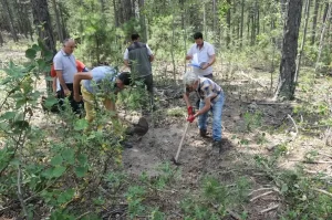 Kütahya’da Ulusal Orman Envanteri çıkarılıyor