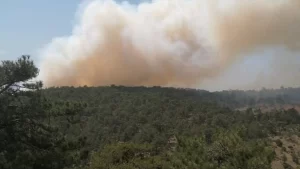 Denizli’de orman yangınına müdahale ediliyor