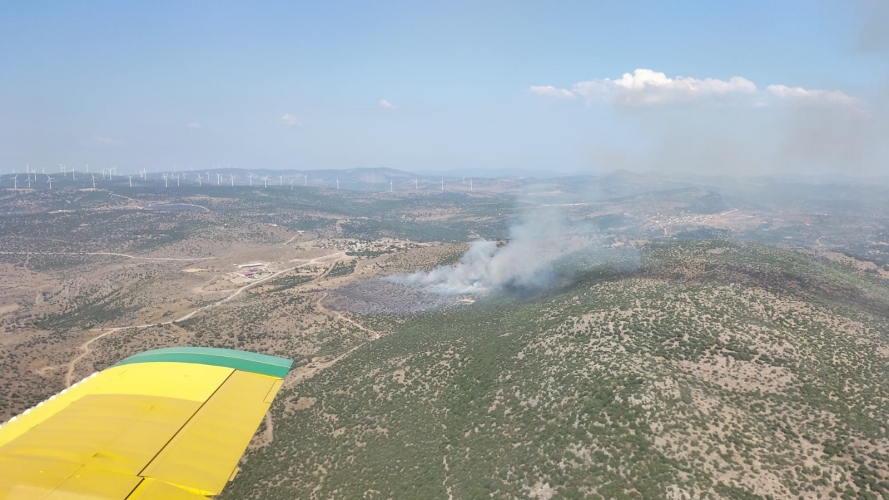 İzmir Aliağa’da makilik alanda