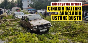 Kütahya’da fırtına çınarın dallarını kırdı