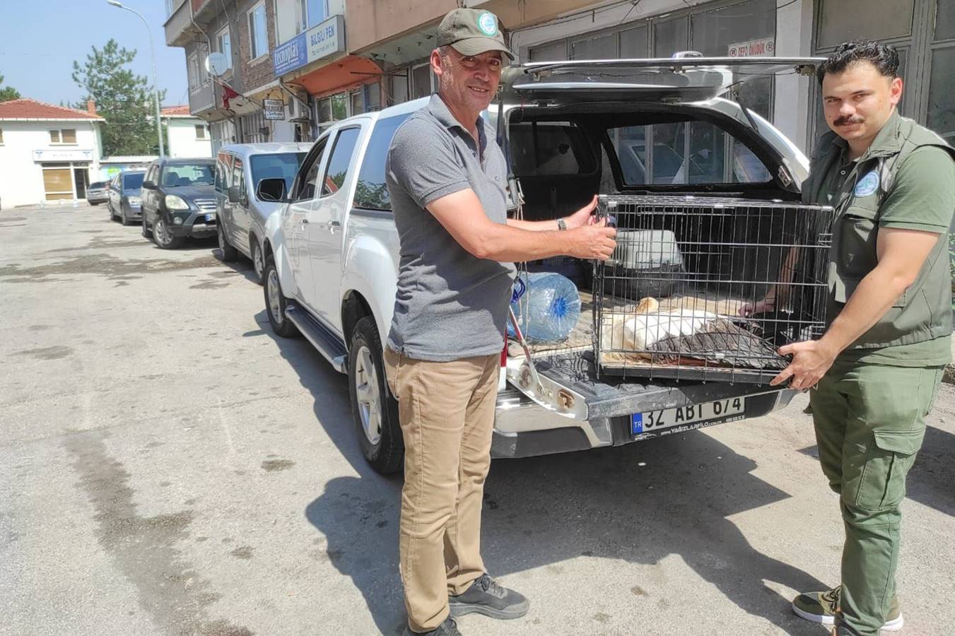 kütahya da onlarca leylek elektrik akımına kapıldı