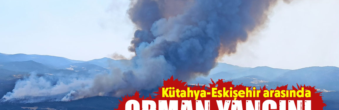 kütahya eskişehir arası yangın 01