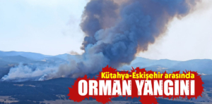 Kütahya-Eskişehir arasında orman yangını çıktı