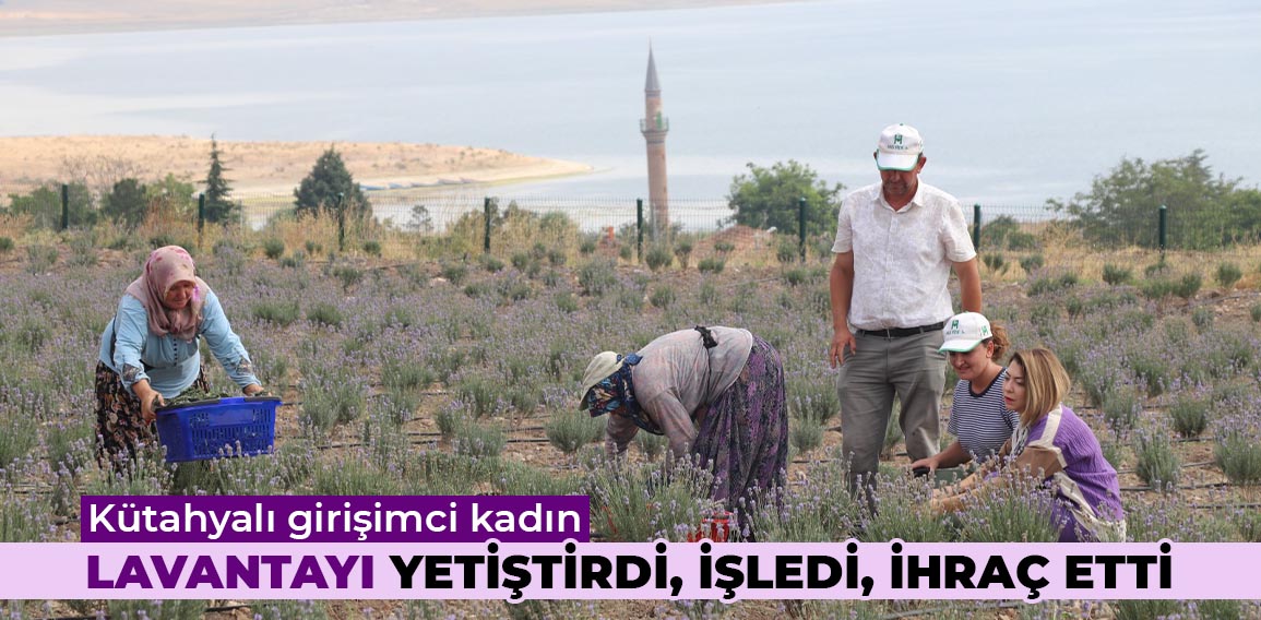 Kütahya’da kendisine ait arazide