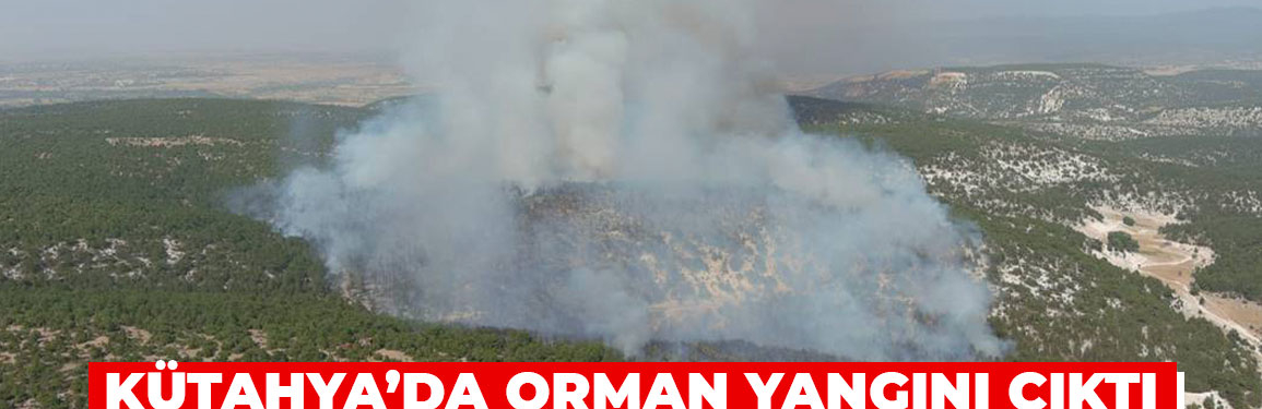 Kütahya'da orman yangını çıktı