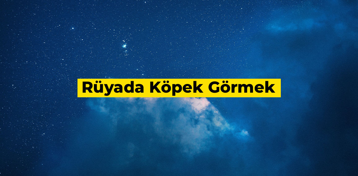 Rüyada büyük bir köpek