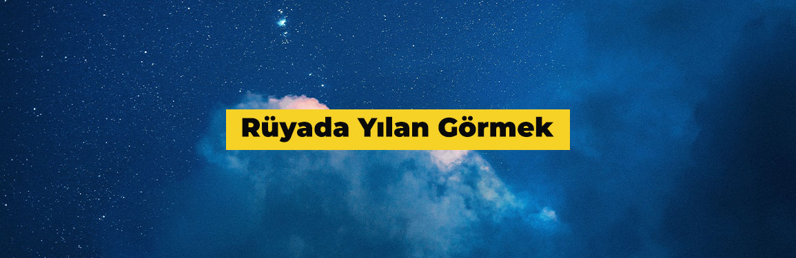 Rüyada yılan görmek