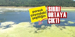 Porsuk Çayındaki görüntünün nedeni ortaya çıktı